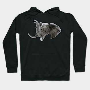 Elephant Render Hoodie